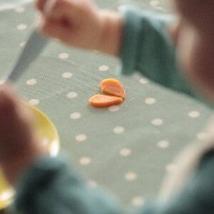 Les bons nutriments et protéines pour votre bébé Les bons nutriments et protéines pour votre bébé
